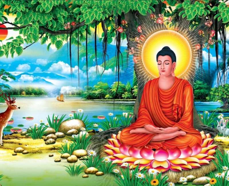 20+ Hình Ảnh Đức Phật Thích Ca Đẹp Nhất Được Chọn Lọc - Truyền Hình  Bchannel - Btv9 An Viên