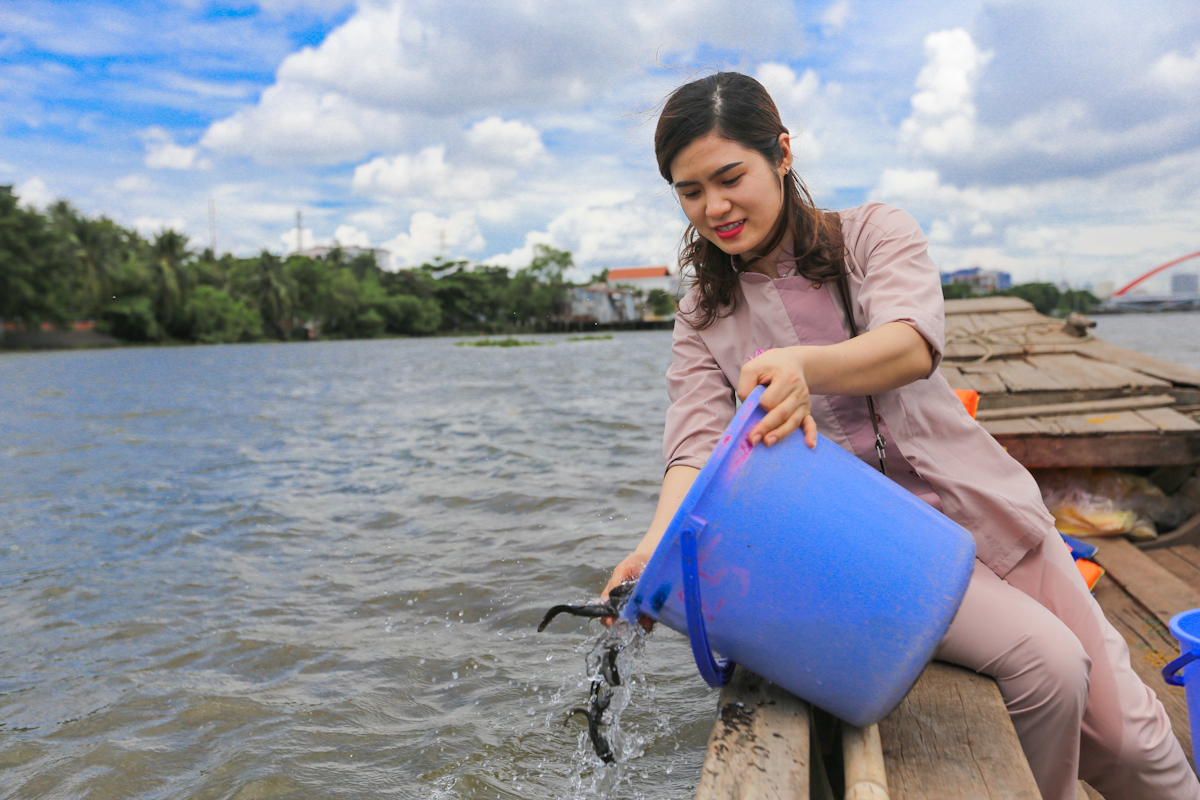 phóng sinh phật đản