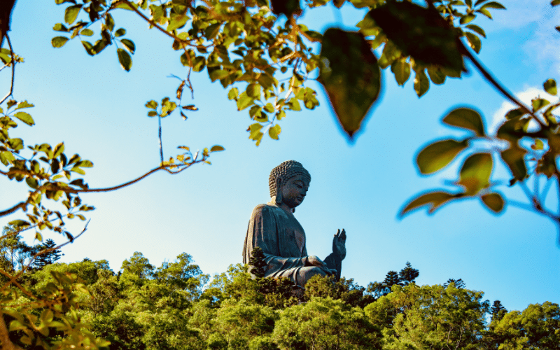 Nam mô A Di Đà Phật là gì_ Ý nghĩa và công đức khi niệm (4)