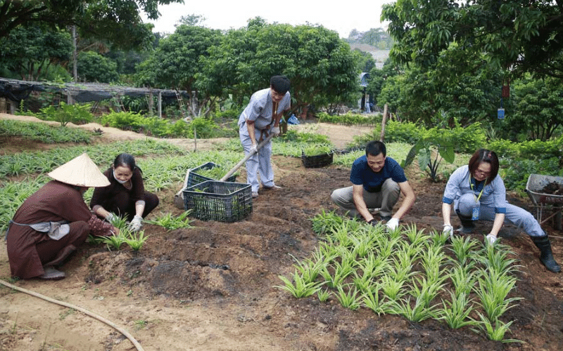 Công quả là gì_ Lên chùa làm công quả có phước không