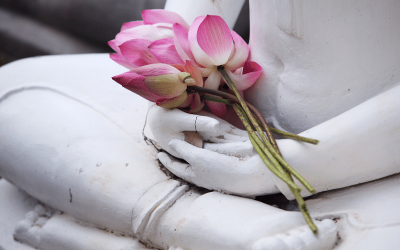 Đi chùa nên mua hoa gì_ Những loại hoa nên và không nên cúng Phật