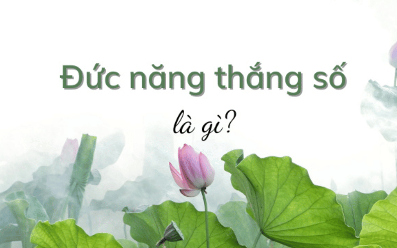 Đức năng thắng số là gì