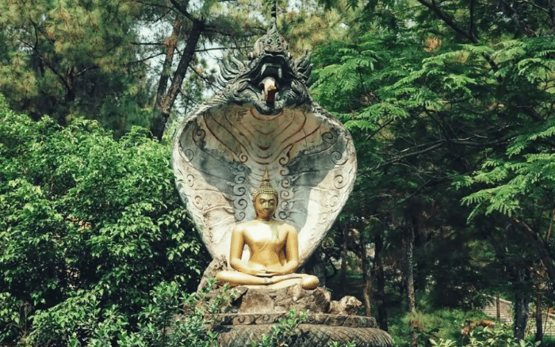 Chùa Thiền Lâm Huế (6)