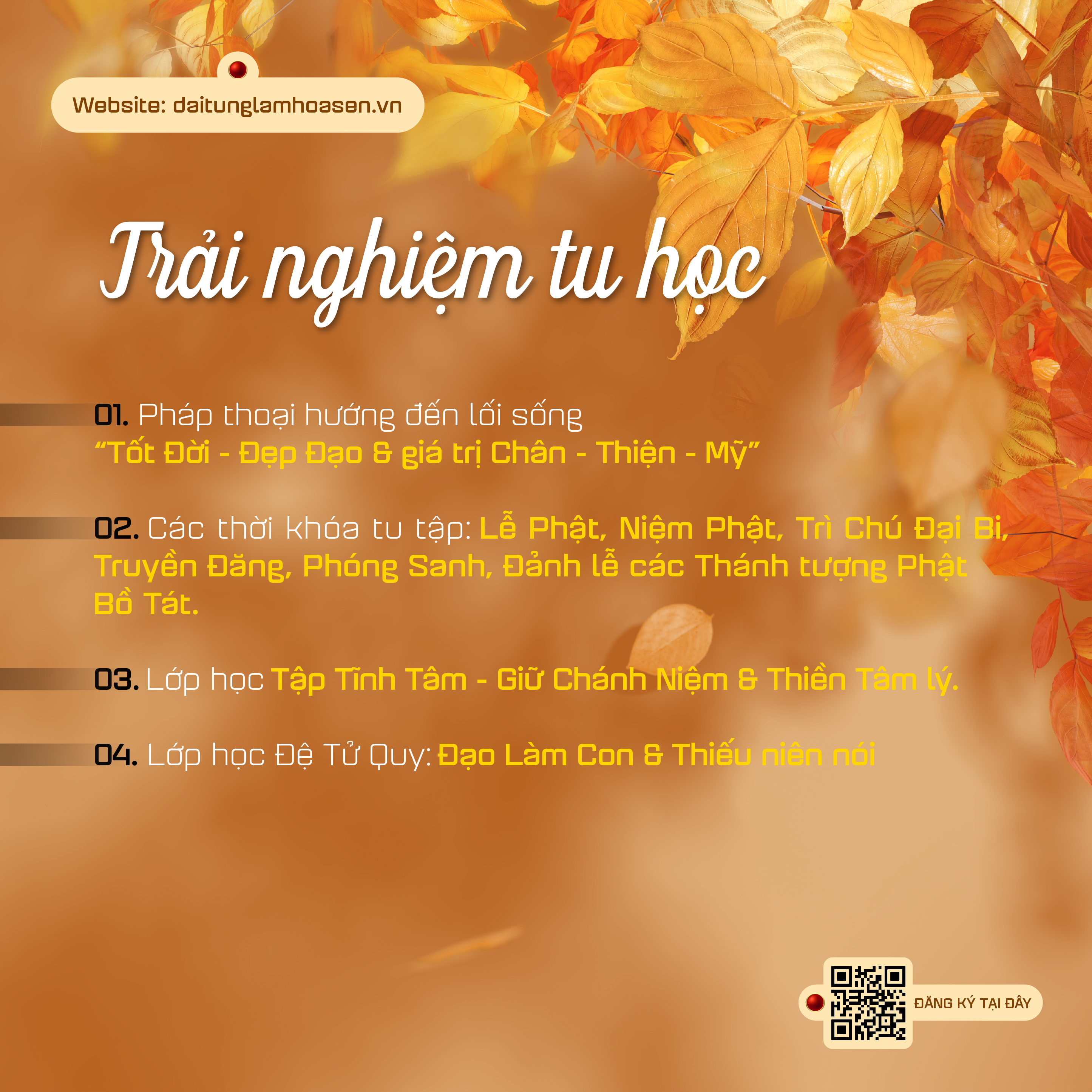 Hội Trại Mùa Thu 2025 có gì 