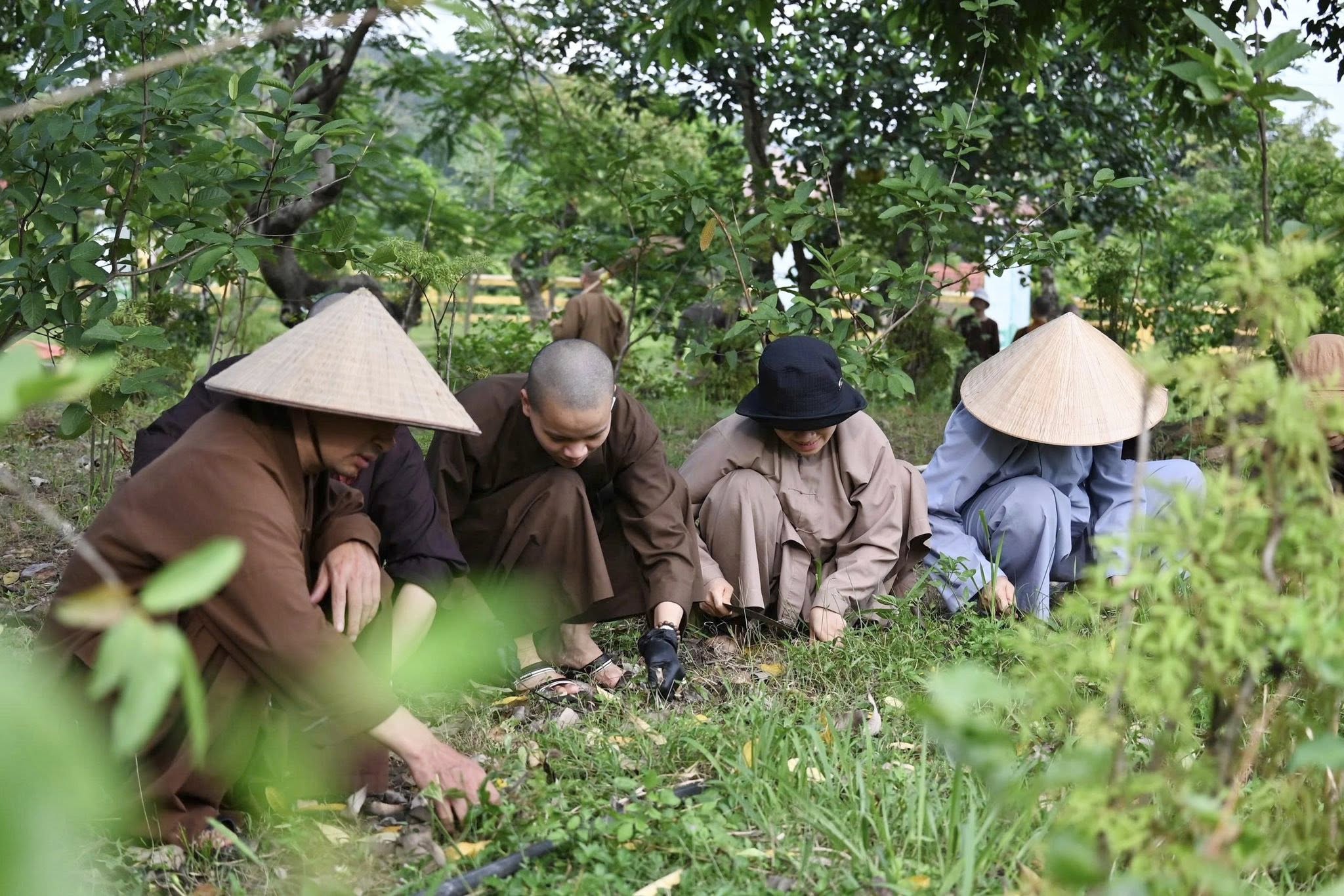 Học viện Phật giáo Việt Nam