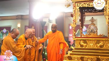 Phật tử bật khóc, nhất tâm đảnh lễ Xá lợi Đức Phật