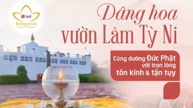Dâng hoa tại vườn Lâm Tỳ Ni nghi lễ thiêng liêng tri ân Đức Phật