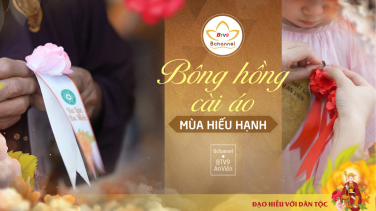 Vì sao hoa hồng lại là biểu tượng của Đại lễ Vu Lan?