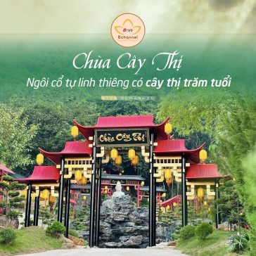 Chùa Cây Thị - Ngôi cổ tự linh thiêng có cây thị trăm tuổi