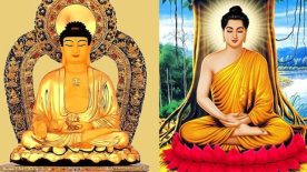Nên Niệm “Nam Mô A Di Đà” Hay “Nam Mô Bổn Sư Thích Ca”?