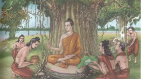 Kiều Trần Như: Vị đệ tử đầu tiên của Đức Phật